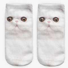 White Persian socks